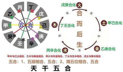 戊癸合老少配|戊癸为什么是无情之合？